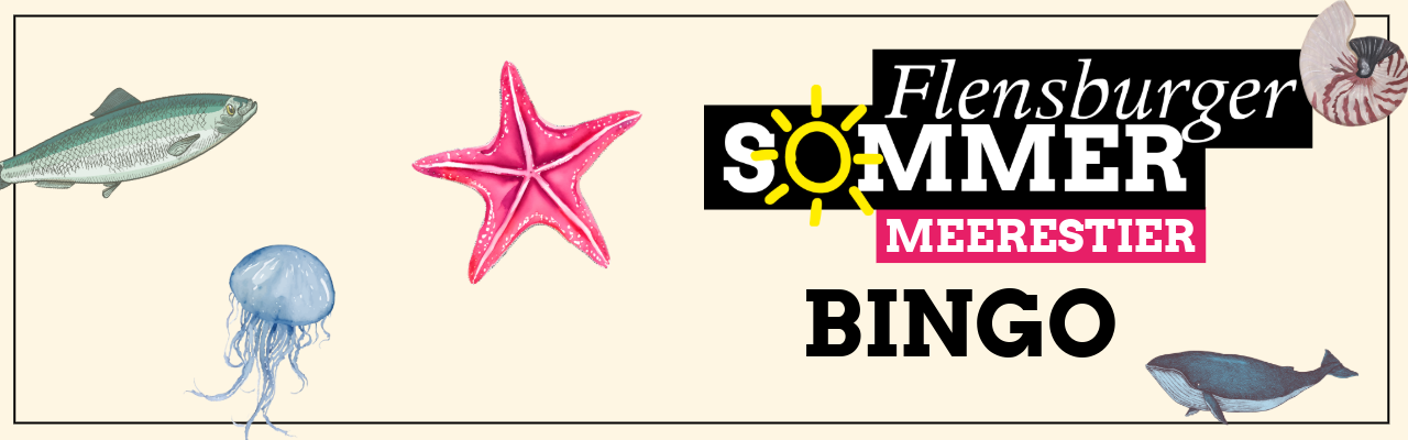 Grafischer Header für das „Flensburger Sommer Meerstier Bingo“ mit dem Spieletitel und Illustrationen von Meeresbewohnern wie Qualle, Seestern, Wal auf hellem Grund.
